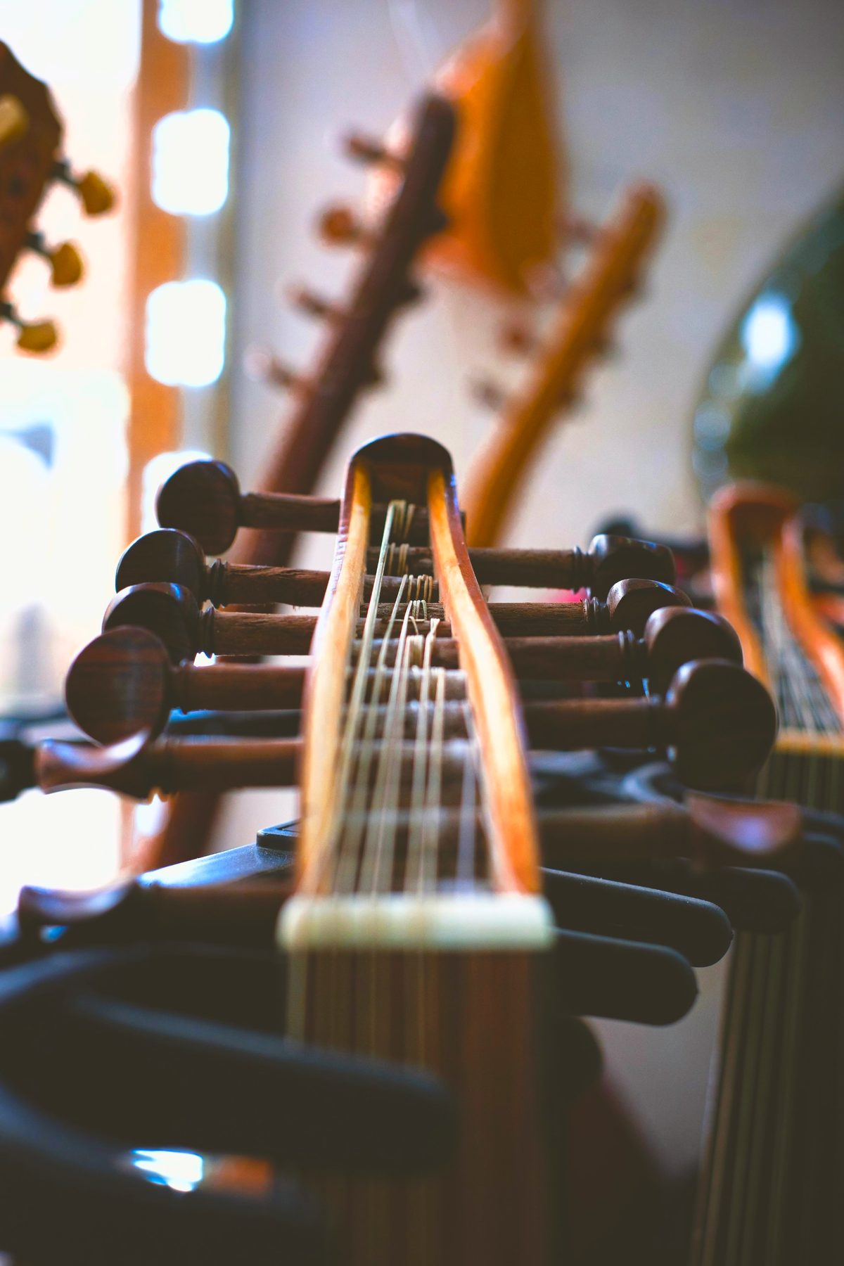 Close-up of tuning pegs on a stringed instrument